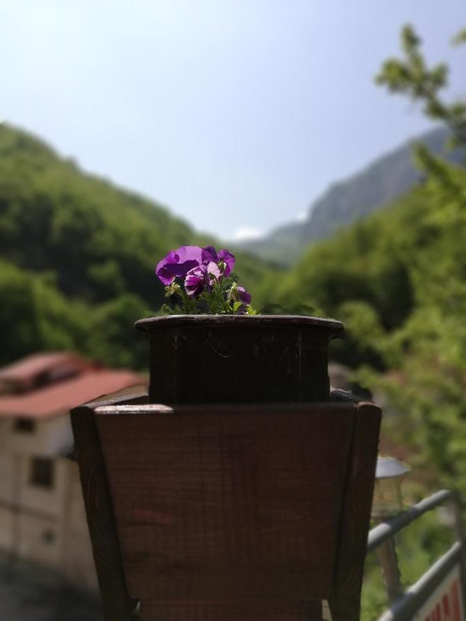 Дом Бакалски-Кмета Narechenski Bani Exteriér fotografie